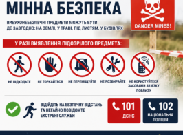 Мінна безпека